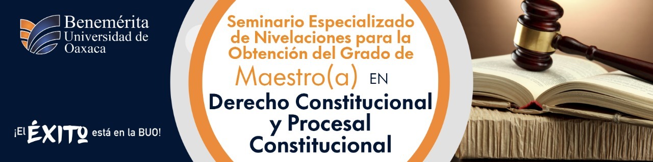 Seminario Especializado de Nivelación Maestría en Derecho Constitucional y Procesal Constitucional 