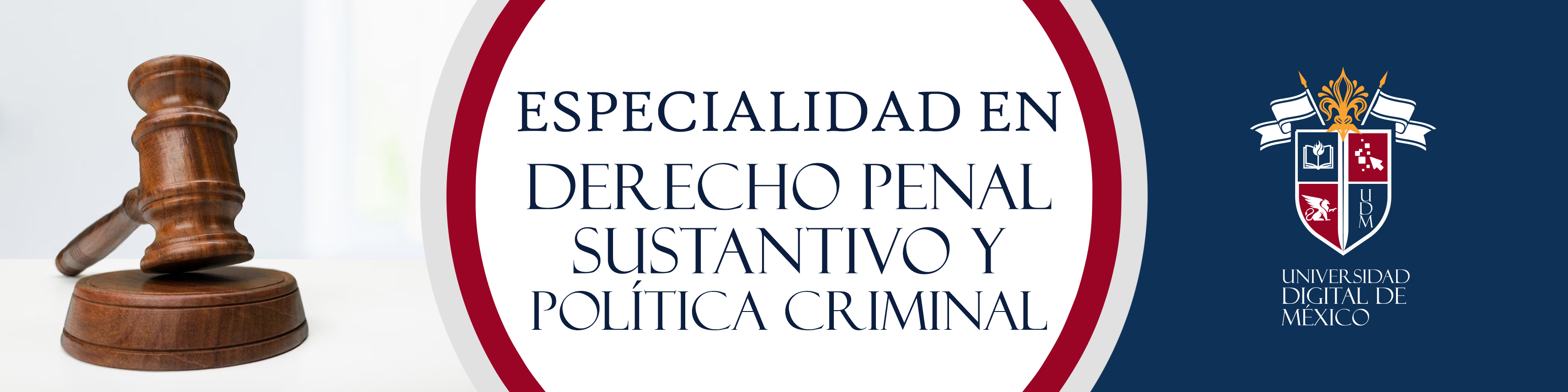 Especialidad en Derecho Penal Sustantivo y Política Criminal.